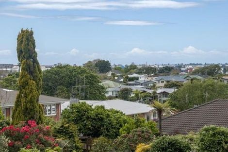 Photo of property in 24a Milton Road, Otumoetai, Tauranga, 3110