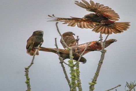 Photo of property in 42 Melville Drive, Whakatane, 3120