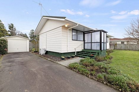 Photo of property in 41 Armagh Terrace, Marton, 4710