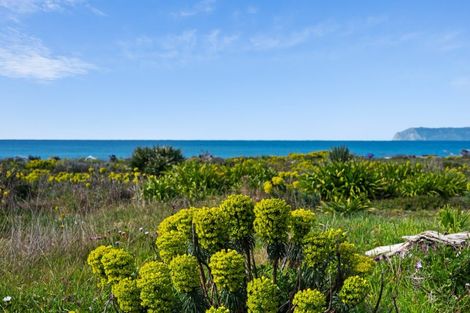 Photo of property in 208 Rarangi Beach Road, Rarangi, Blenheim, 7273