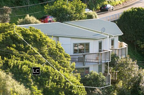 Photo of property in 131 Raroa Road, Aro Valley, Wellington, 6012