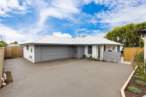 Photo of property in 23b Brewer Street, Blenheim, 7201