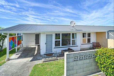 Photo of property in 196a Nikau Street, Saint Leonards, Hastings, 4120