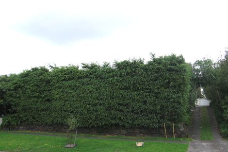 Photo of property in 37 Ferndale Road, Mount Wellington, Auckland, 1060