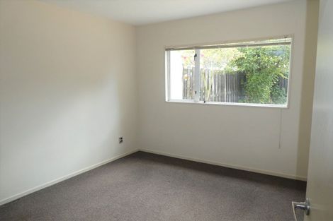 Photo of property in 50a Champion Street, Edgeware, Christchurch, 8013