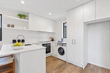 Photo of property in 19e Chatham Street, Addington, Christchurch, 8024