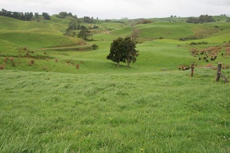 Photo of property in 1234 Richmond Road, Everett Park, Inglewood, 4389