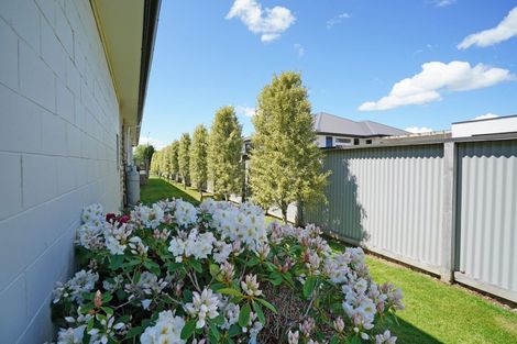 Photo of property in 84 Margaret Street, Glengarry, Invercargill, 9810