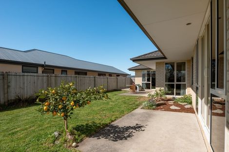 Photo of property in 17 Alma Street, Renwick, 7204