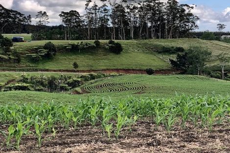 Photo of property in 190 Valencia Lane, Kerikeri, 0293