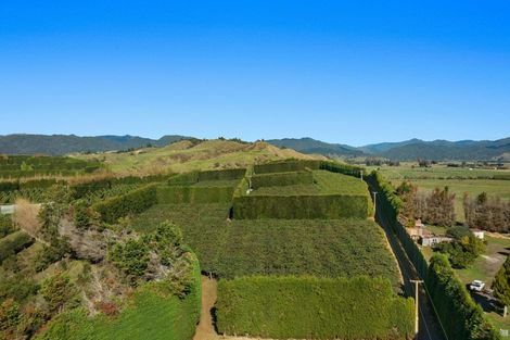 Photo of property in 31 Clark Cross Road, Otara, Opotiki, 3197