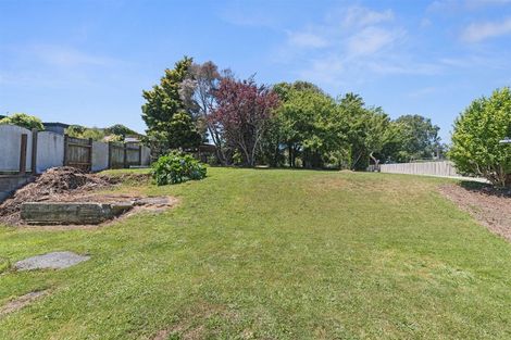 Photo of property in 24 David Street, Morrinsville, 3300