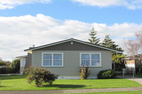 Photo of property in 17 Parsons Avenue, Levin, 5510