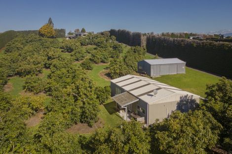 Photo of property in 210 Tuapiro Road, Tahawai, Katikati, 3170