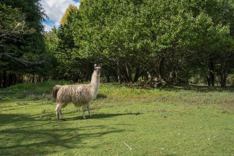 Photo of property in 8 Graham Vly Road, Motueka Valley, Motueka, 7196