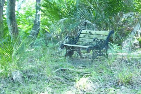 Photo of property in 3914 Kaipara Coast Highway, Mangakura, Warkworth, 0984