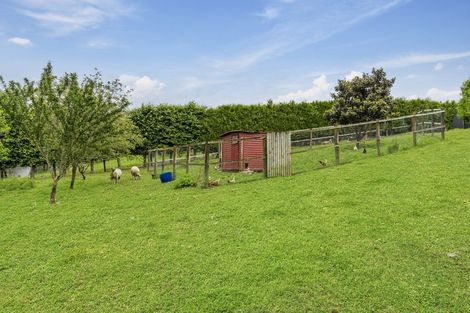 Photo of property in 390b Old Highway, Whakamarama, Tauranga, 3180