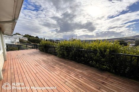 Photo of property in 119 Mulford Street, Concord, Dunedin, 9018