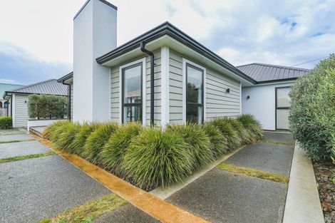 Photo of property in 25 Andrews Street, Foxton Beach, Foxton, 4815