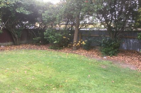 Photo of property in 113 Victoria Avenue, Hokowhitu, Palmerston North, 4410