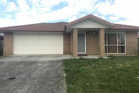 Photo of property in 117 Palmers Road, Clendon Park, Auckland, 2103