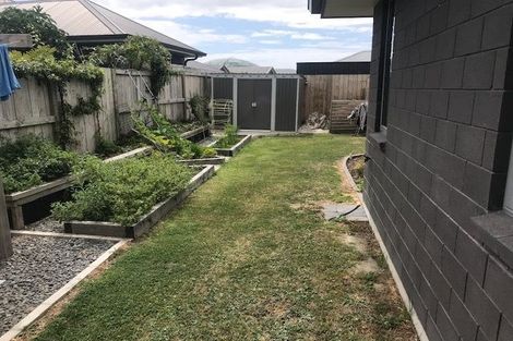 Photo of property in 64 Te Ranga Memorial Drive, Pyes Pa, Tauranga, 3112