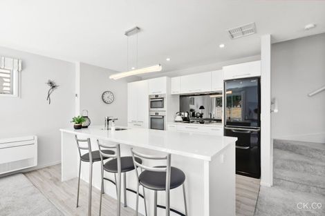 Photo of property in 4 Latimer Way, Petone, Lower Hutt, 5012