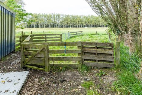 Photo of property in 20 Omara Road, Milford, Temuka, 7986