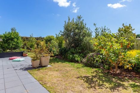 Photo of property in 6 Park Lane, Mangawhai Heads, Mangawhai, 0505