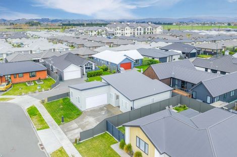 Photo of property in 46 Hunter Drive, Awatoto, Napier, 4110