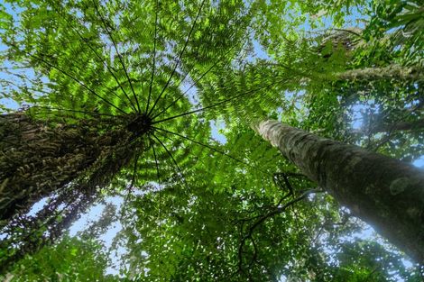 Photo of property in 58 Old Valley Road, Okaihau, 0475