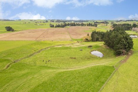 Photo of property in 331 Ormondville Road, Takapau, 4287