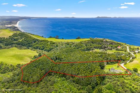 Photo of property in 65 M Greenwood Road, Leigh, 0972