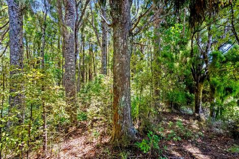 Photo of property in 65 M Greenwood Road, Leigh, 0972