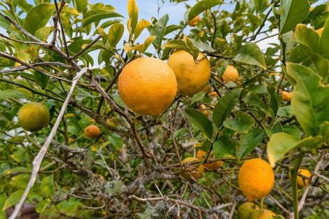 Photo of property in 2/30 Summit Drive, Torbay, Auckland, 0630