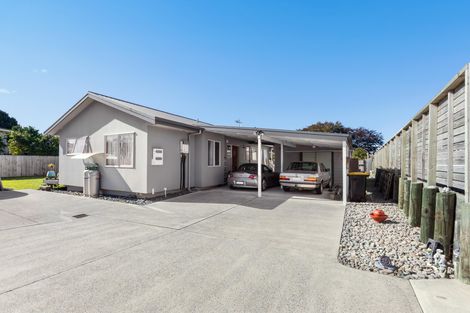 Photo of property in 333a Thames Street, Morrinsville, 3300