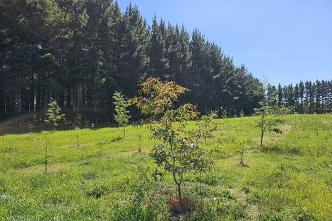 Photo of property in 577 Pesters Road, West Eyreton, Rangiora, 7475