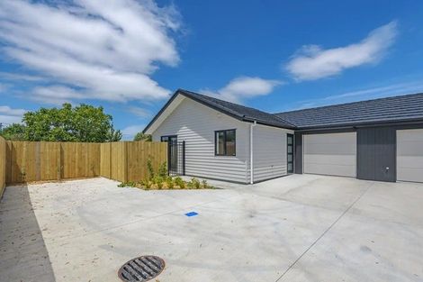 Photo of property in 38 Hammond Street, Bulls, 4818