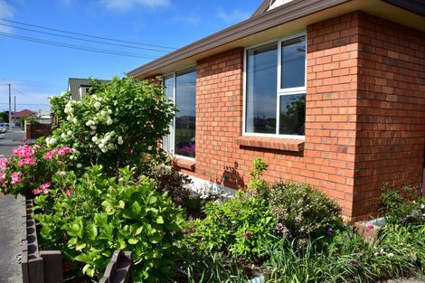 Photo of property in 8 Hardy Street, Saint Kilda, Dunedin, 9012