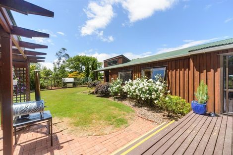 Photo of property in 40 Milne Street, Marton, 4710