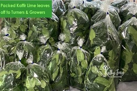 Photo of property in 70 Rototuna Road, Pouto, Te Kopuru, 0391