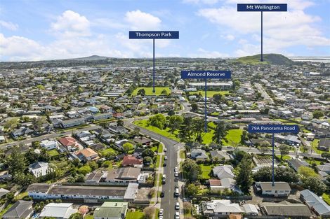 Photo of property in 79a Panorama Road, Mount Wellington, Auckland, 1060