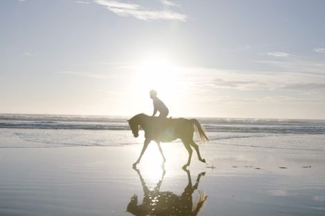 Photo of property in Pourerere Road, Pourerere, Waipawa, 4271