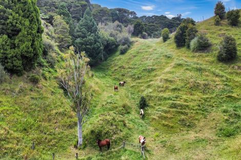 Photo of property in 791b White Pine Bush Road, White Pine Bush, Whakatane, 3191