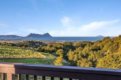 Photo of property in 413 Prescott Road, Ruakaka, Whangarei, 0171