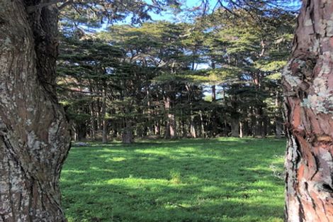 Photo of property in 504b Wairere Road, Maungaturoto, 0571