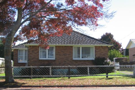 Photo of property in 135 Arapuni Street, Putaruru, 3411