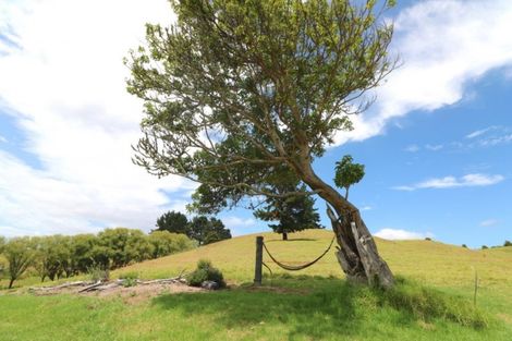 Photo of property in 420 Duncan Road, Kaingaroa, Kaitaia, 0482