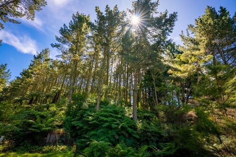 Photo of property in 629a Hakarimata Road, Ngaruawahia, Huntly, 3771