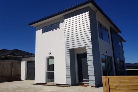 Photo of property in 105 John Burke Drive, Aotea, Porirua, 5024